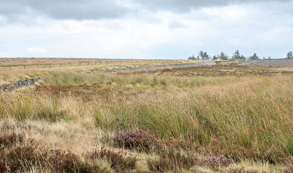 Barbrook Reservoir